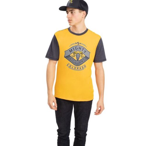 Gameday Vintage Ringer Tee Vignette