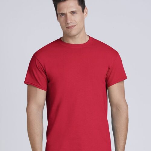 Unisex Heavy Cotton™ T-Shirt Vignette