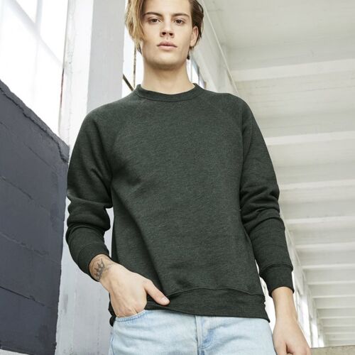 Unisex Sponge Fleece Raglan Crewneck Sweatshirt Vignette