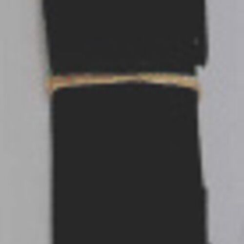Sangle cousu fini longueur avec boucle TSR-200 SH Vignette